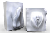 Impression set alginate 3D body intimate impression woman man